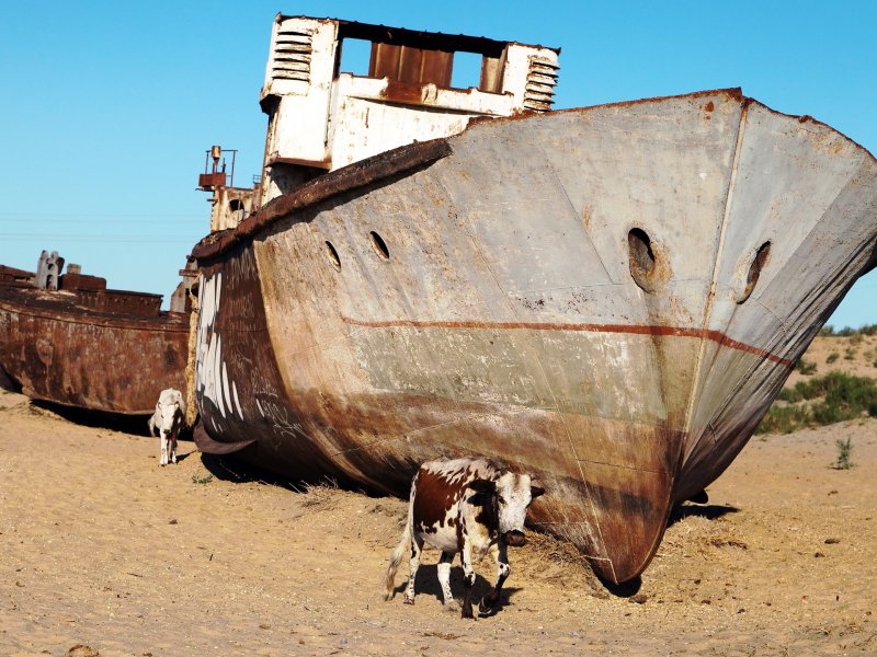 Аральское море кладбище кораблей