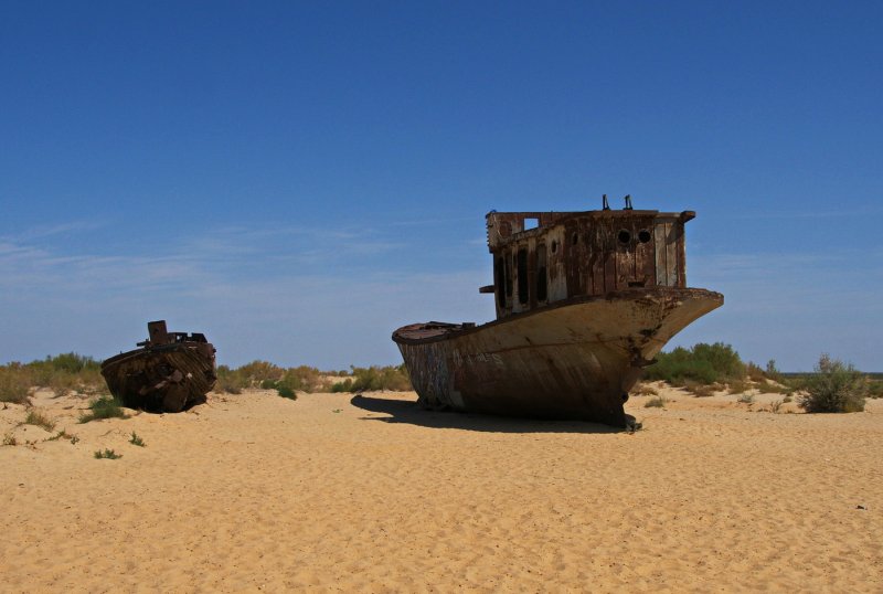 Корабль пустыни
