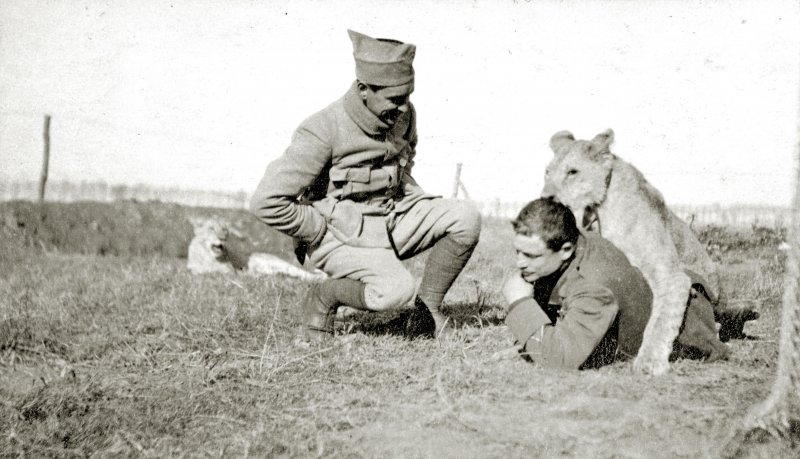 Эскадрилья Лафайет 1917