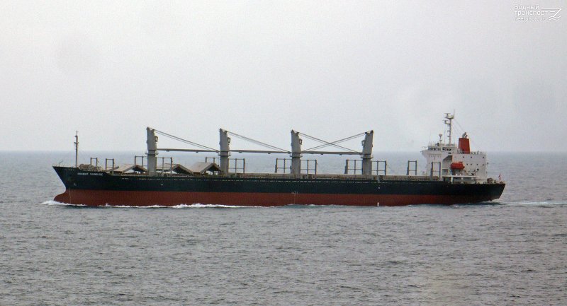 Сухогрузы морские