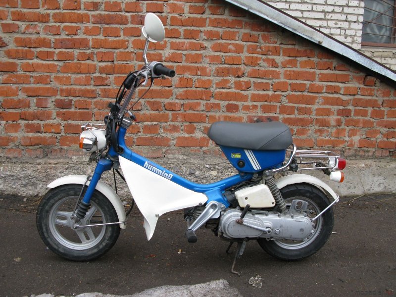 Дельта Стелла