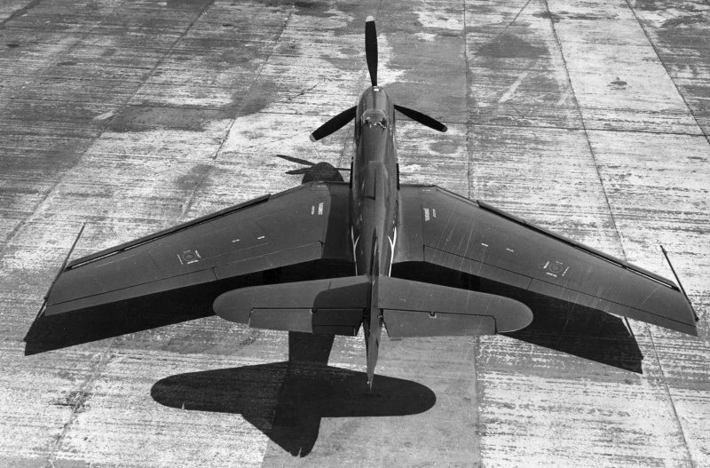 Cobra plane Jet