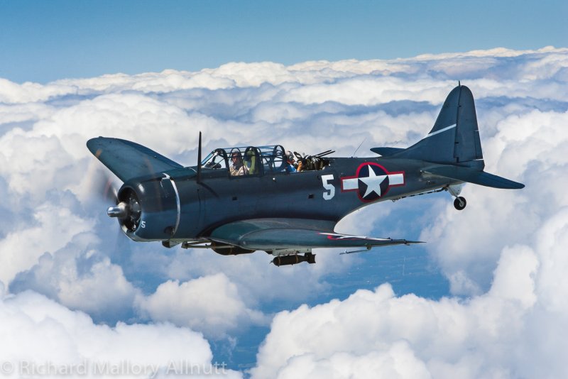 SBD Dauntless Walkaround