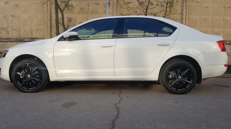 Skoda Teron r17