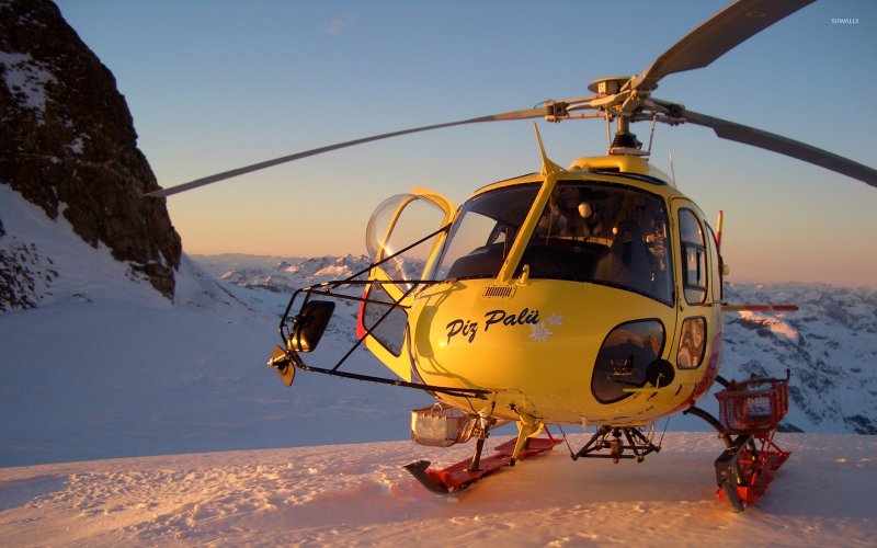 As350 Squirrel