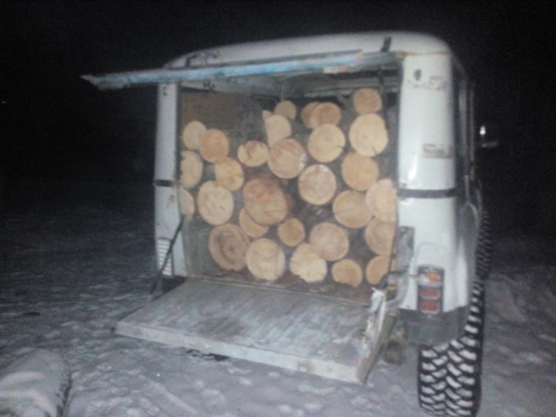 Заготовка дров на УАЗ 3303
