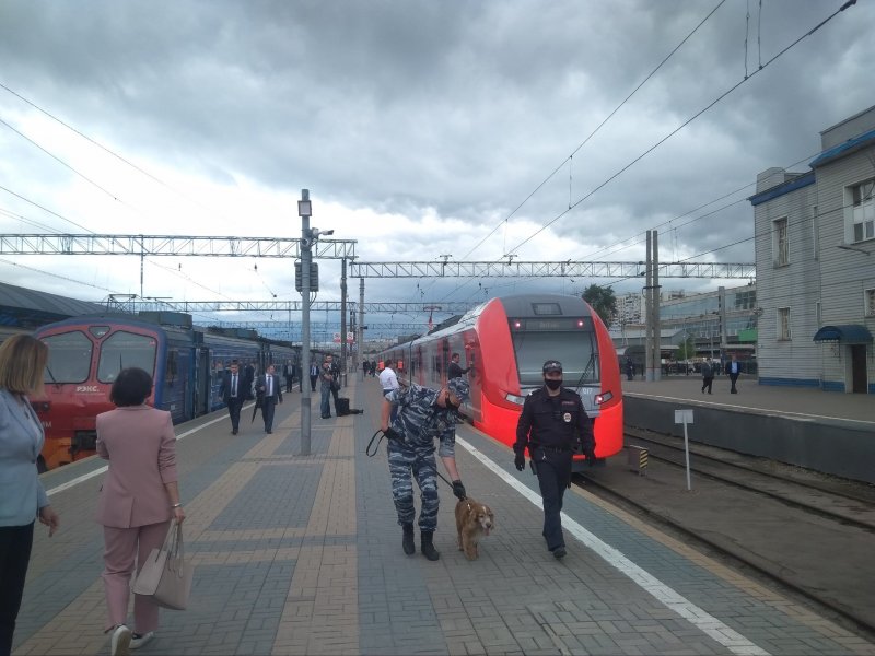 Поезд Ласточка Кострома
