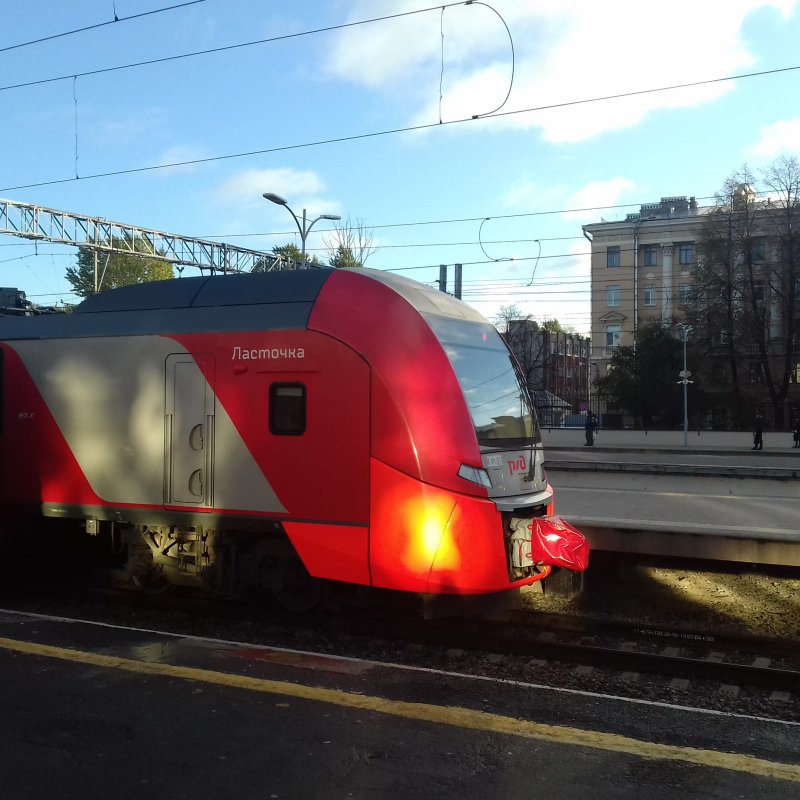 РЖД ласточки на Кострому