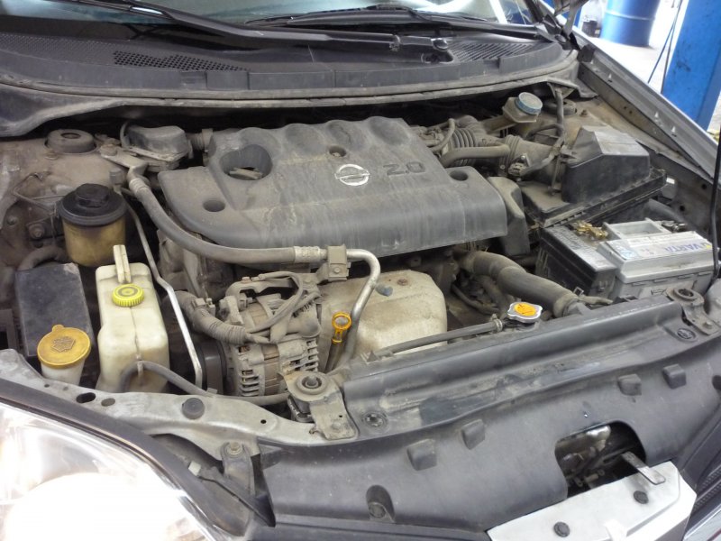 Nissan primera p12 1.8 подкапотное