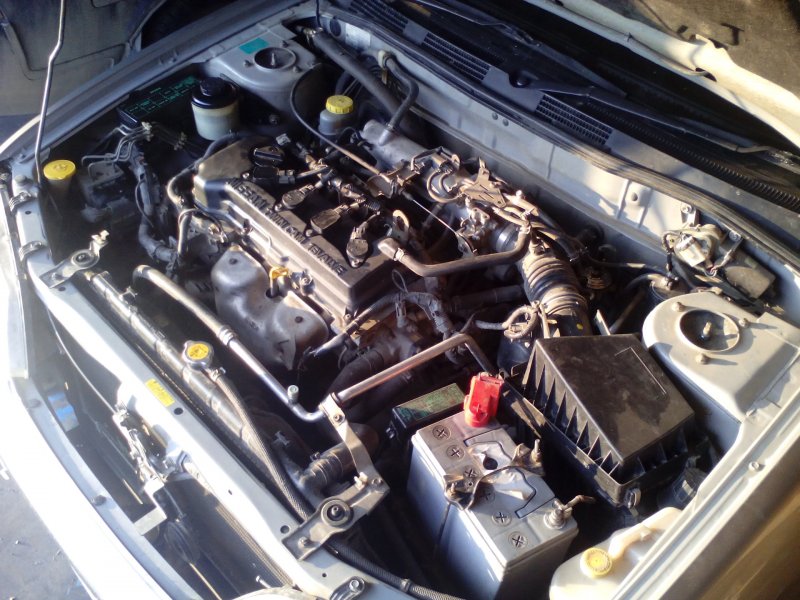 Подкапотка Nissan primera p11