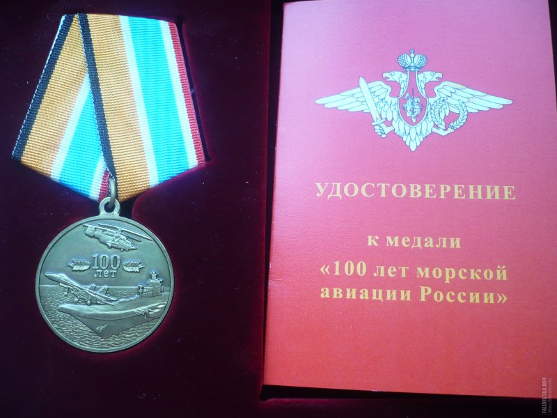 Медаль 100 лет морской авиации