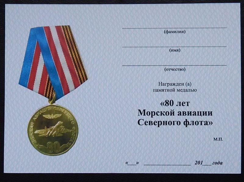 100 Летие дальней авиации России