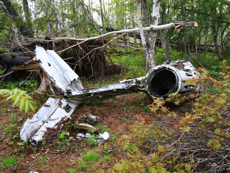 Южно-Сахалинск Александровск-Сахалинский самолет