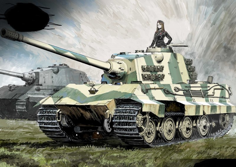 Тигр 2 и е 75