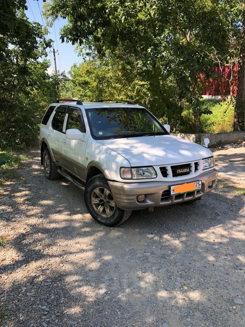 Isuzu Wizard 1
