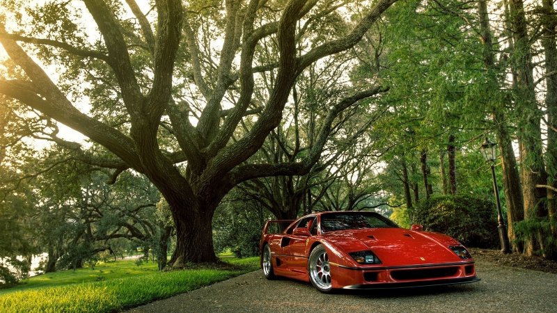 Ferrari f40 в лесу