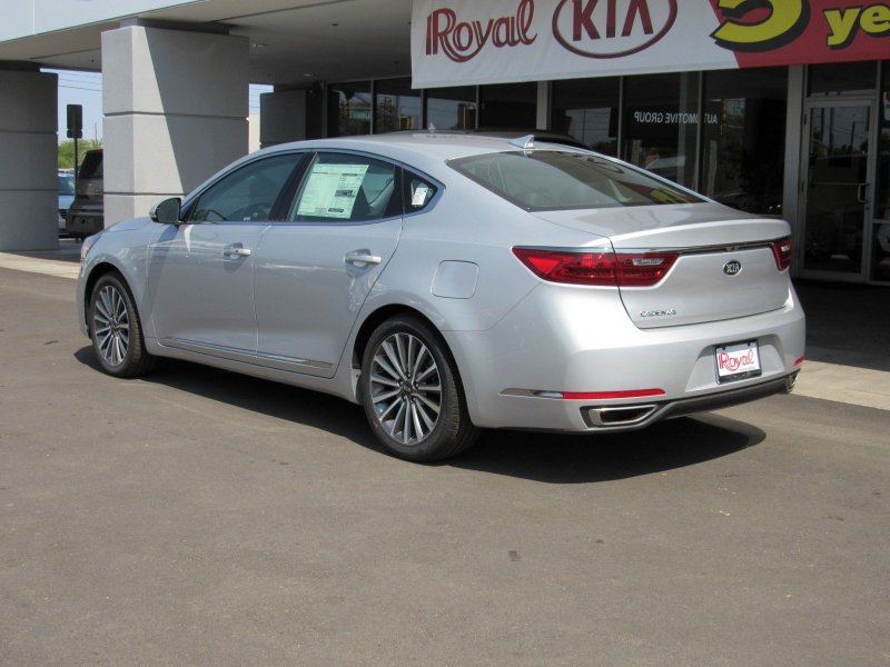 Silky Silver 4ss Cerato