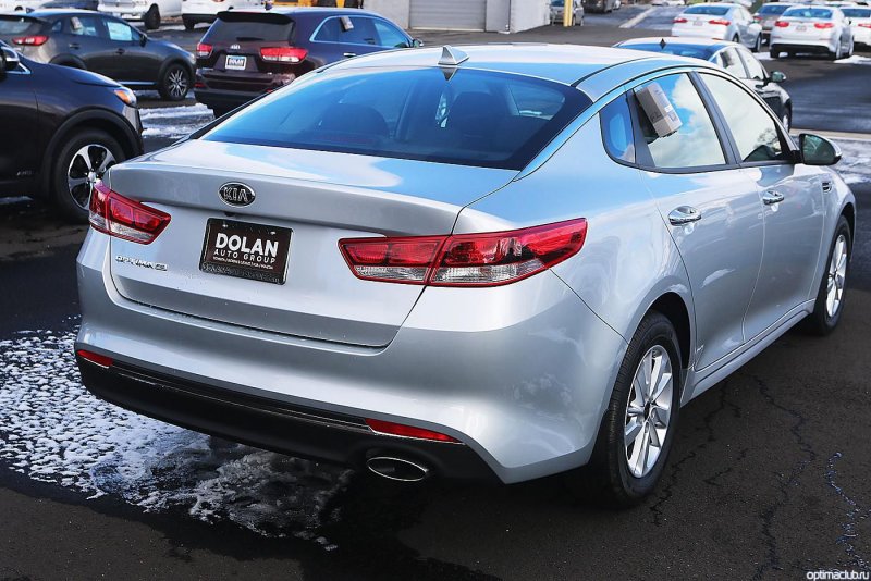Silky Silver 4ss Cerato