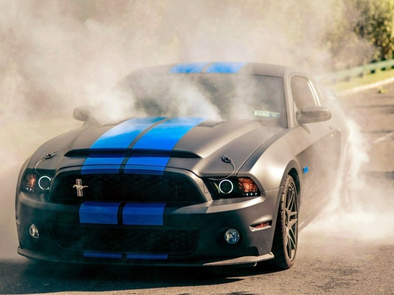 Mustang Shelby gt500