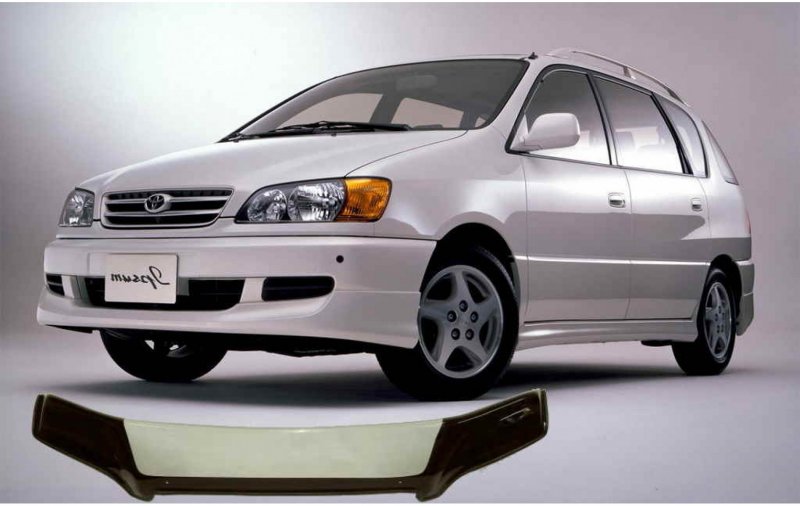 Toyota ipsum 10 кузов
