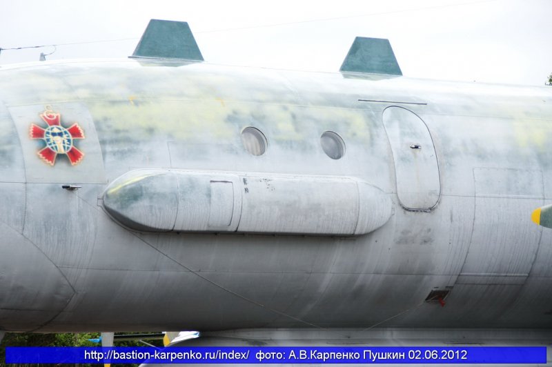 Ил 22 Бизон