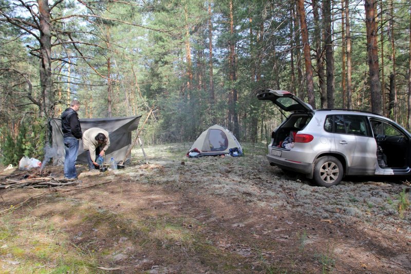 Subaru Forester спальник
