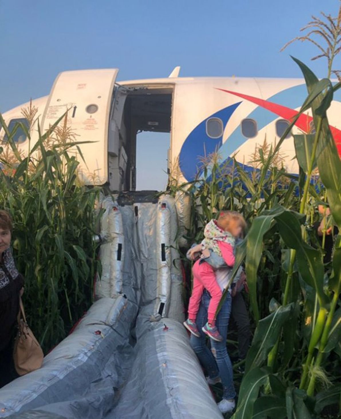 27 августа 2019 года. На кукурузном поле Airbus a321. Самолёт сел на кукурузное поле Уральские авиалинии. А321 сел на кукурузное поле. Уральские авиалинии кукурузное поле.