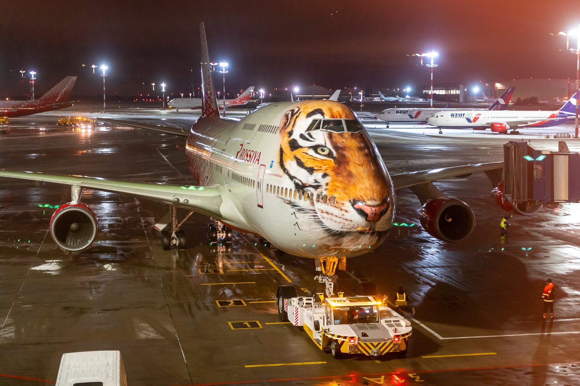 Самолеты в москве сегодня. Боинг 747 Тигролет. Боинг 747 в Шереметьево. Боинг 747 Трансаэро тигр. Боинг 747 в Пулково.