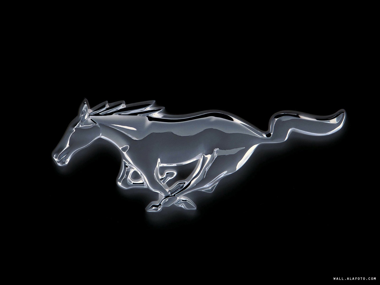 Буквы мустанг. Форд Мустанг эмблема. Mustang 2066 лого. Форд Мустанг символ. Эмблема Мустанга на авто.