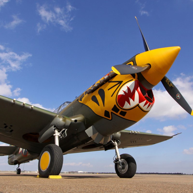 P-40 Warhawk Color