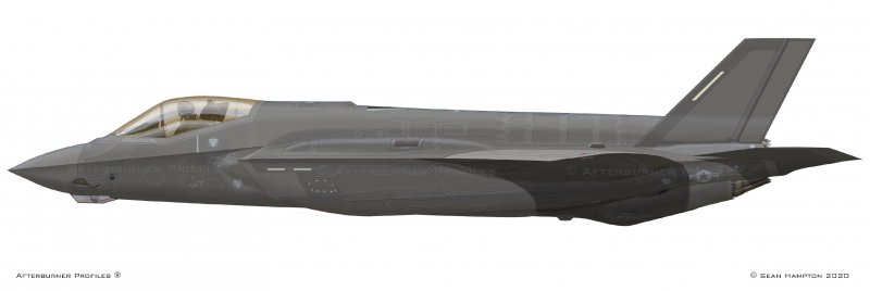 F-14 Tomcat and f-111 Aardvark