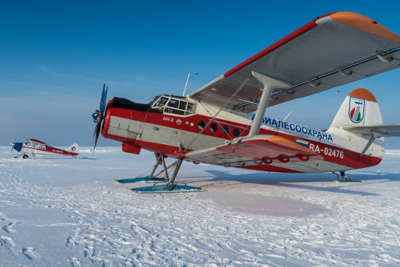 Аэропорт Барнаул 2021