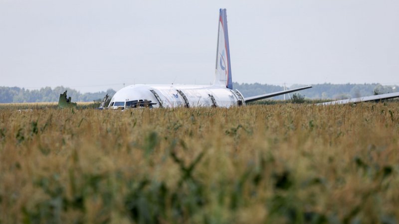 A321 сел на кукурузное поле