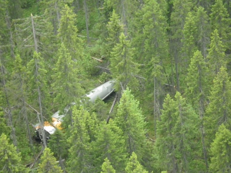 Тайга Плесецк