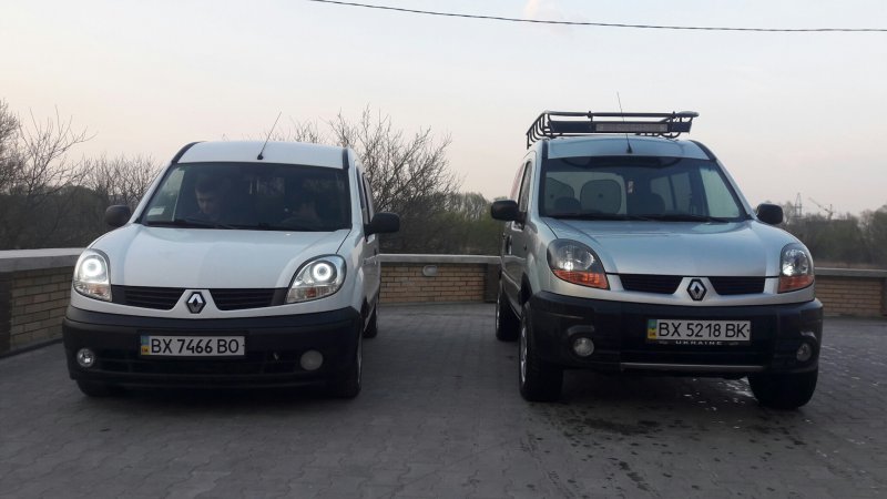 Собака в Рено Кангу