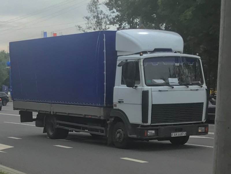 МАЗ 4370 Зубренок Дальнобой