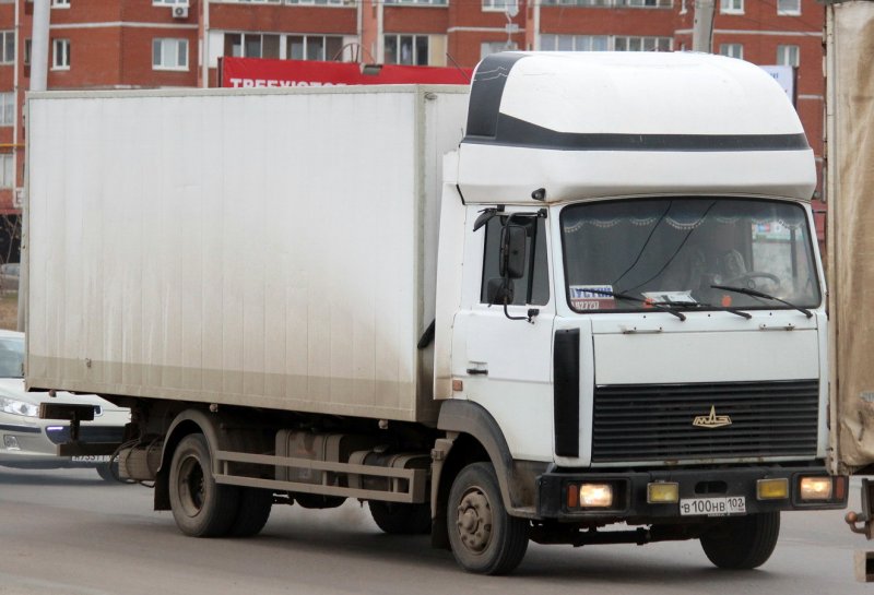 МАЗ 4370 Зубренок 6м