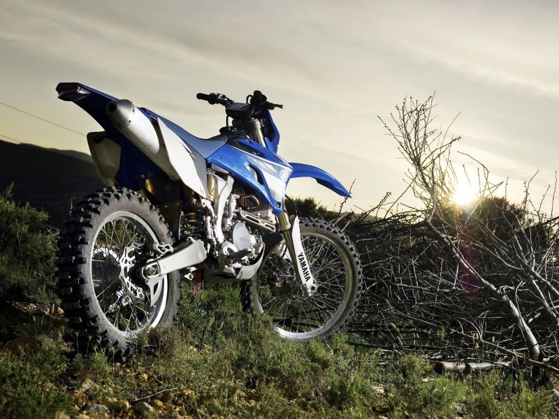 Yamaha wr450x