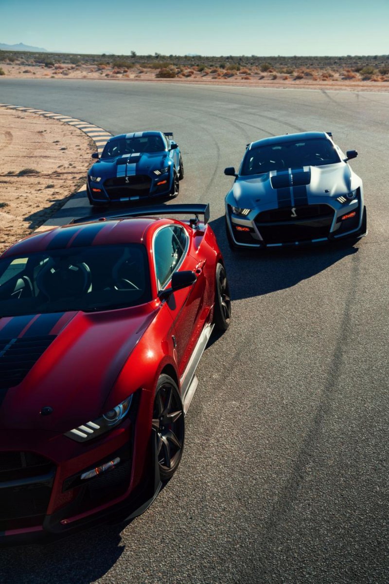 Ford Shelby 2020