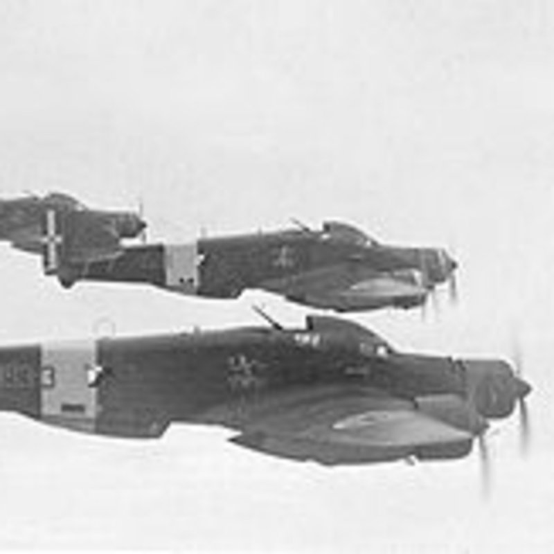 Савойя-Маркетти SM.79