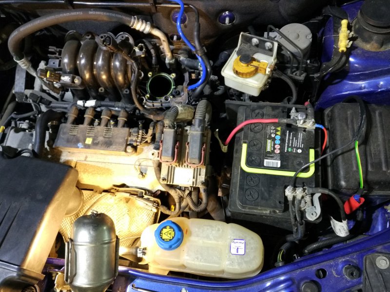 Подкапотное Fiat Albea
