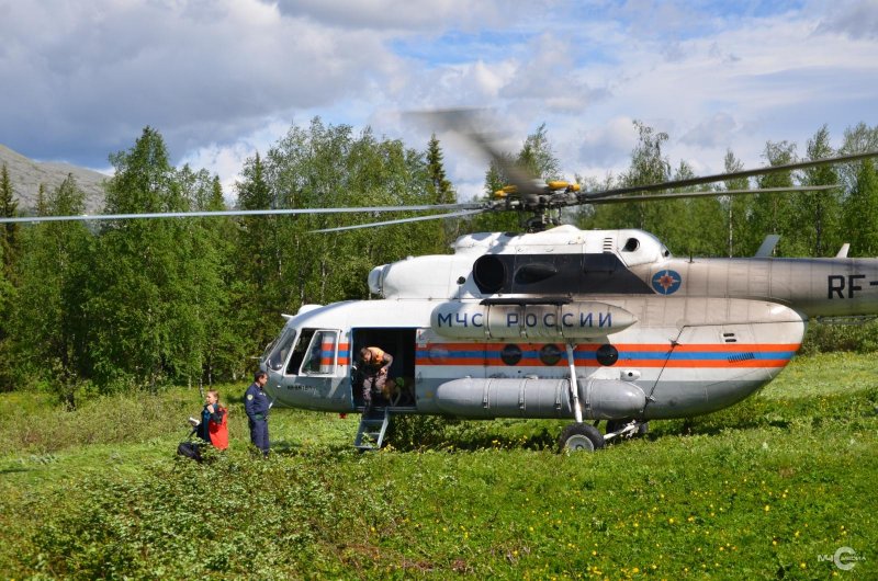 Зимний лес с вертолета