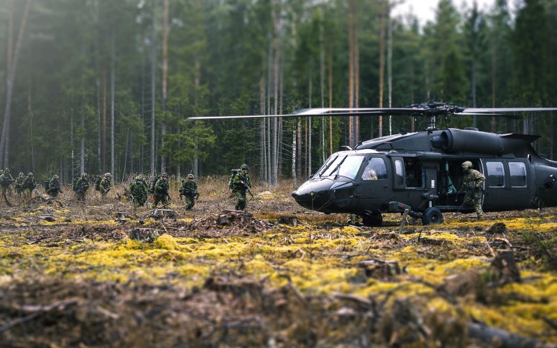 Самолет в лесу