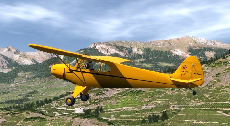 Белка в самолете