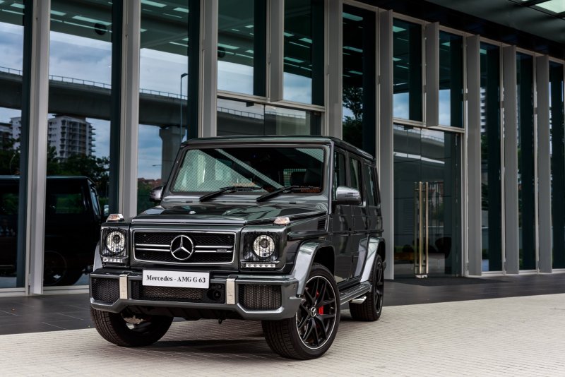 Mercedes-Benz g-class g 65 AMG