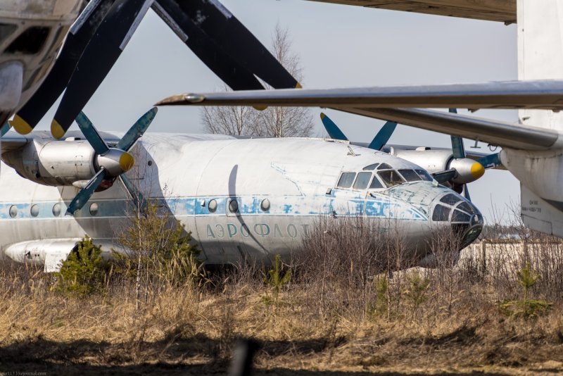 Среднемагистральный пассажирский самолет АН-10. -