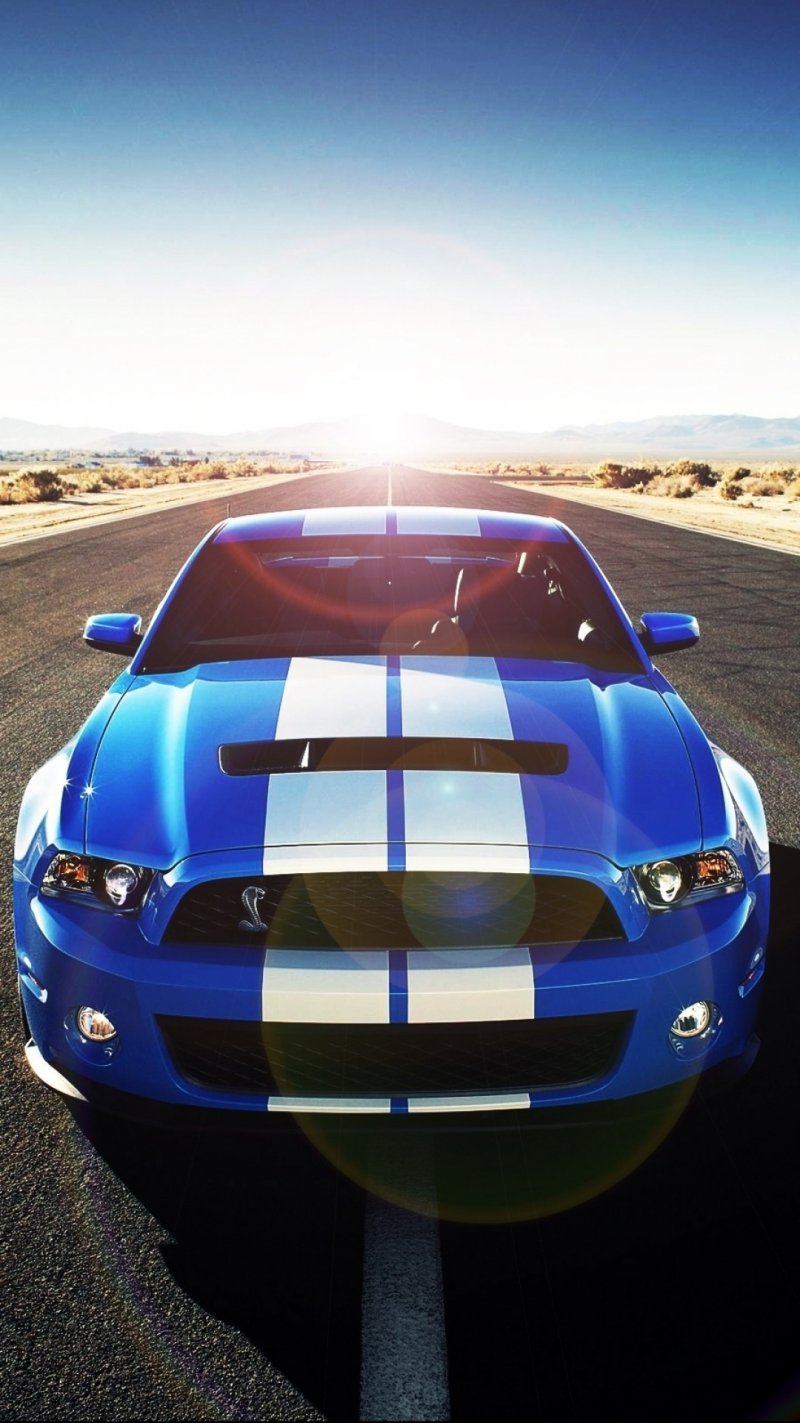 Форд Мустанг gt 500