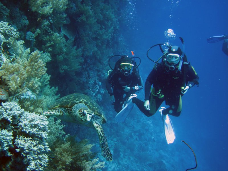 Подводный туризм