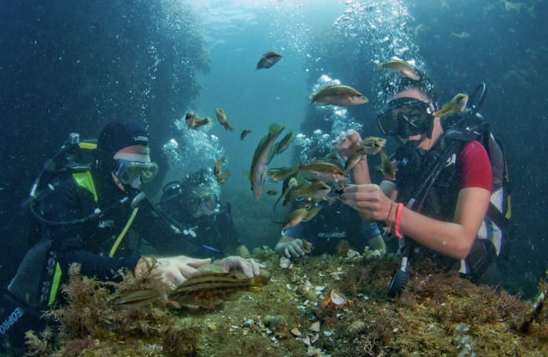 Дайвинг черное море Крым