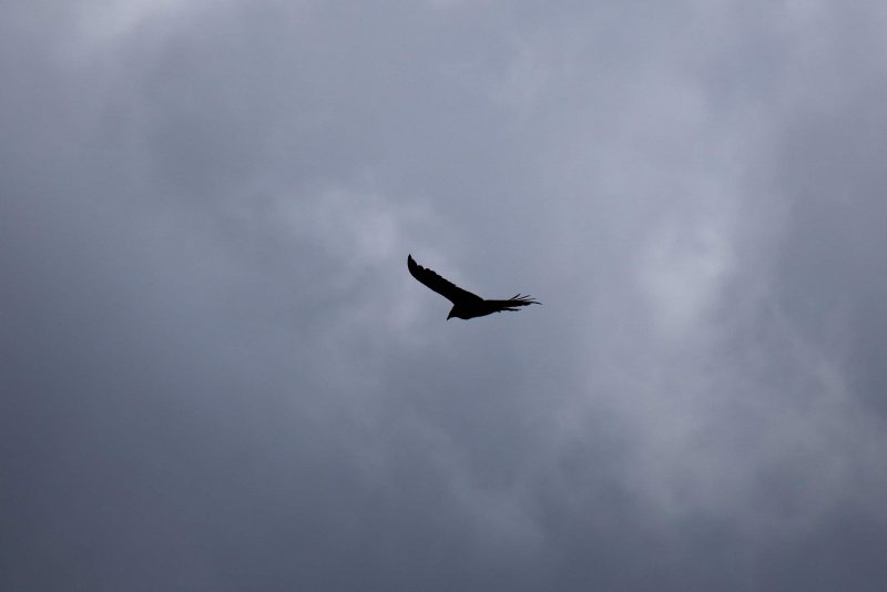 SR 71 беспилотник